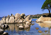 九游足球官网 -德国杯倒计时；山东男篮集结日调整名单；细节引发关注；信心回归；细节决定成败的简单介绍